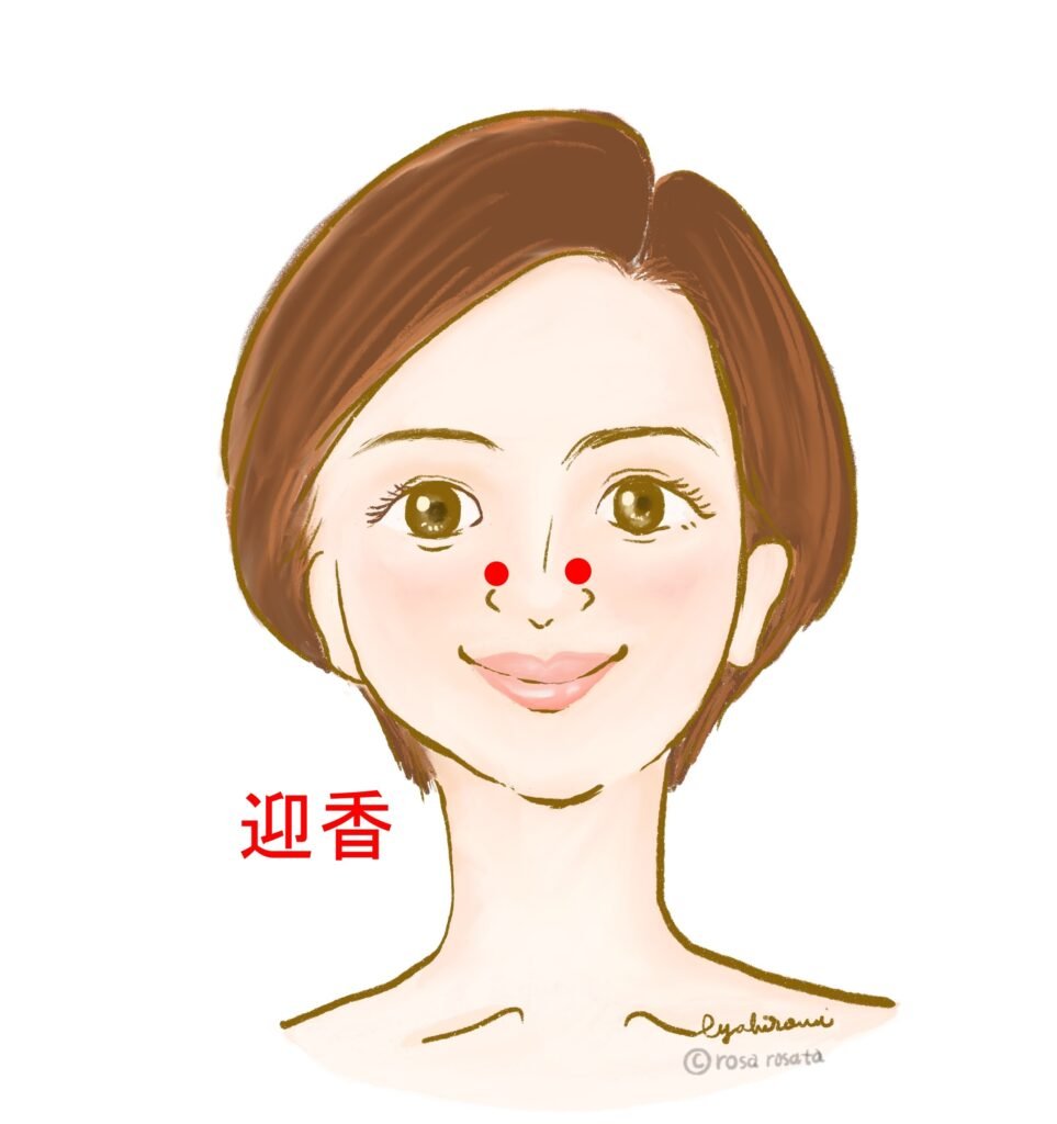 迎香　顔ツボ　イラスト　えやひろみ